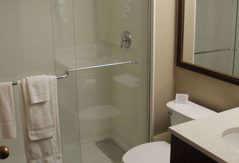 酒店 Comfort Inn & Suites