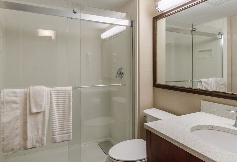 酒店 Comfort Inn & Suites