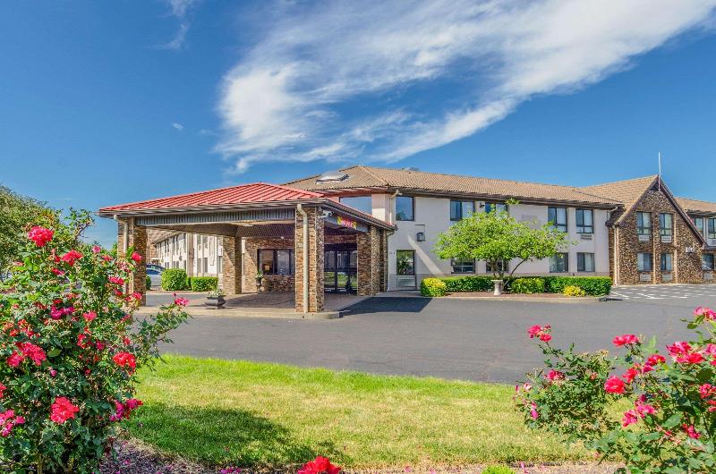 酒店 Comfort Inn & Suites