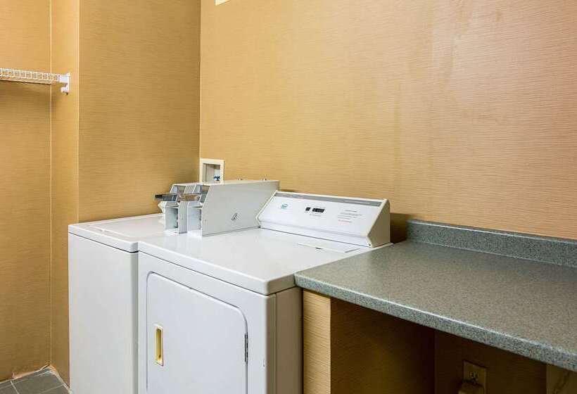 酒店 Comfort Inn Herndon Reston