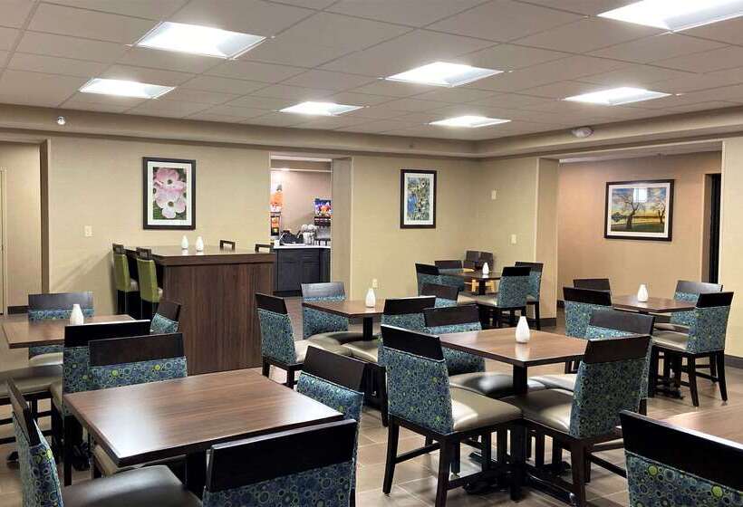 酒店 Comfort Inn Herndon Reston