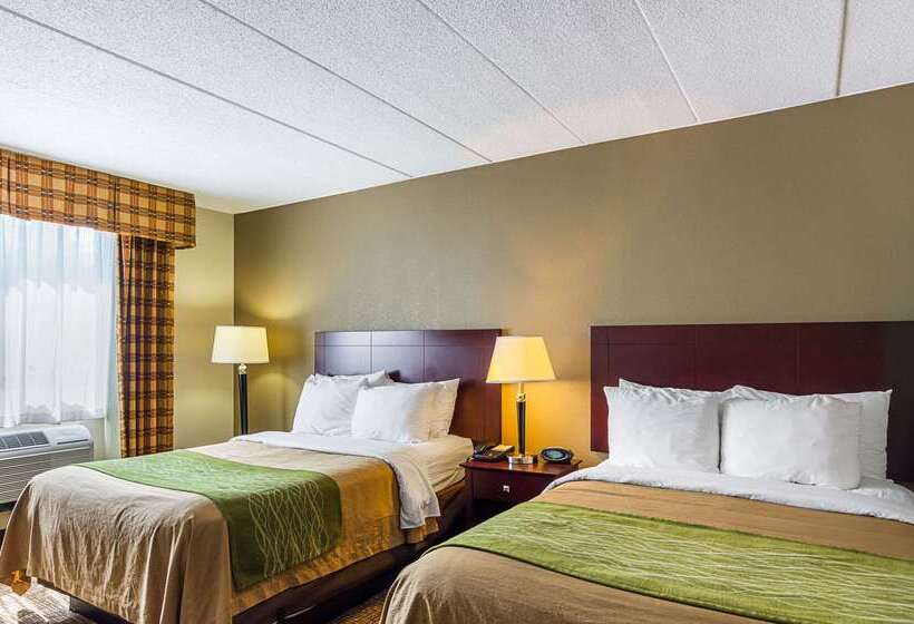 酒店 Comfort Inn Herndon Reston