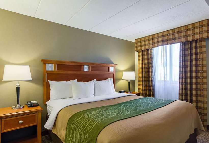 酒店 Comfort Inn Herndon Reston