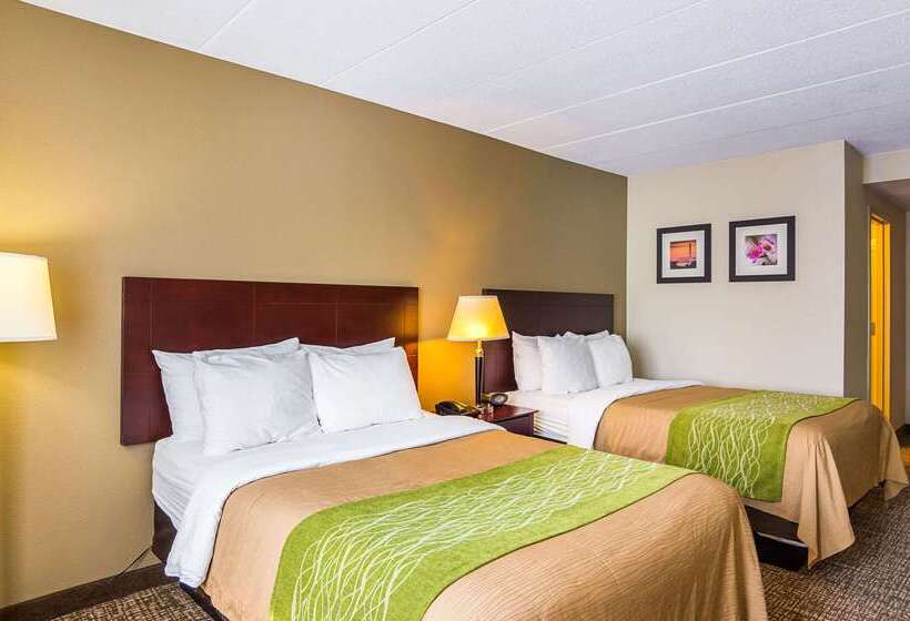 酒店 Comfort Inn Herndon Reston