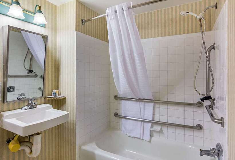 酒店 Comfort Inn Herndon Reston