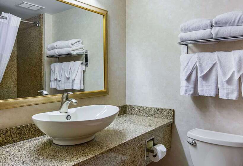 酒店 Comfort Inn Herndon Reston