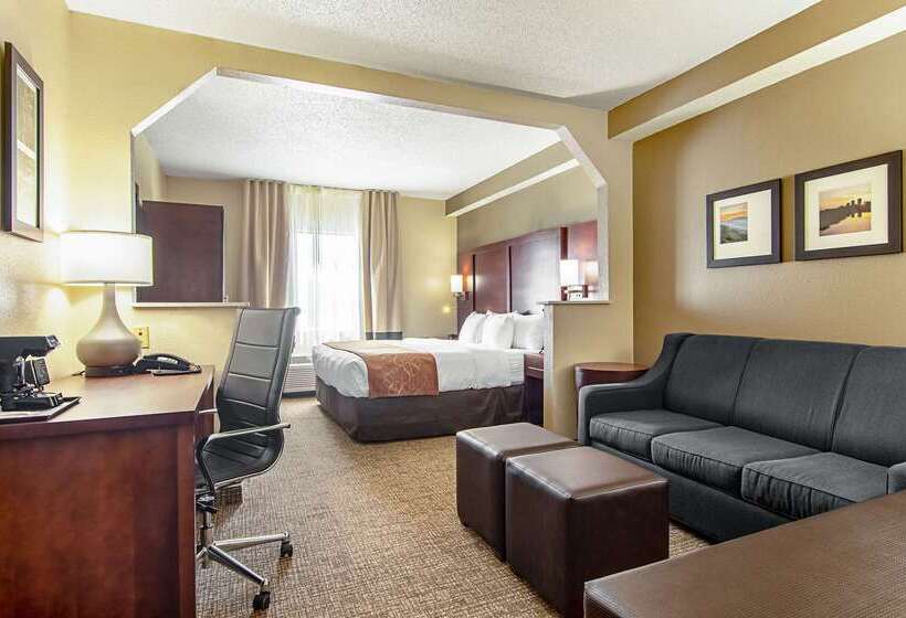 酒店 Comfort Suites Knoxville Airport
