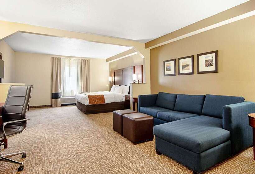 酒店 Comfort Suites Knoxville Airport