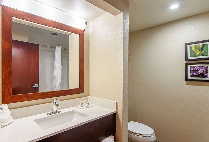 酒店 Comfort Suites Knoxville Airport