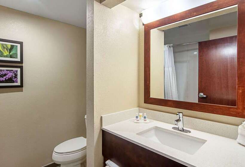 酒店 Comfort Suites Knoxville Airport