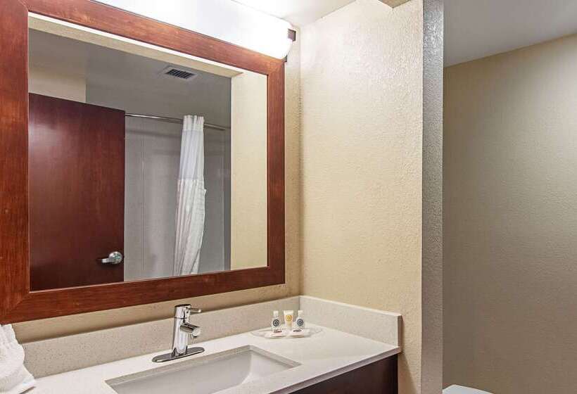 酒店 Comfort Suites Knoxville Airport