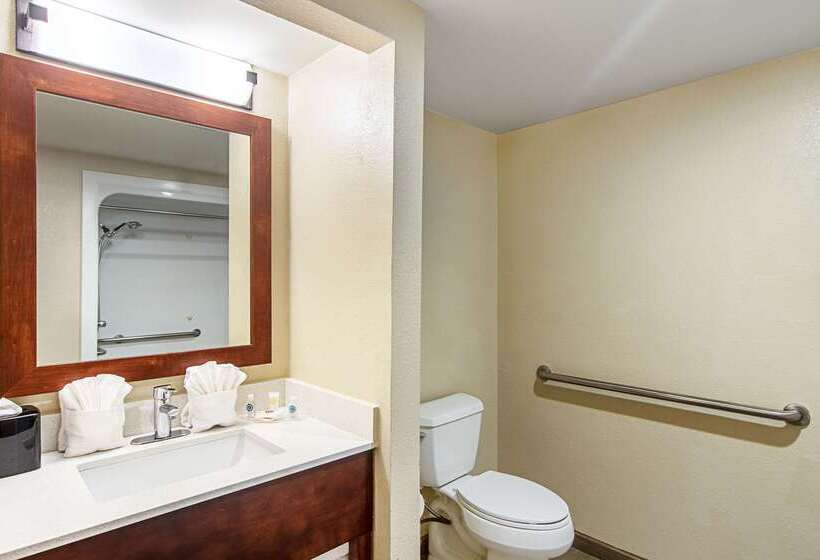 酒店 Comfort Suites Knoxville Airport