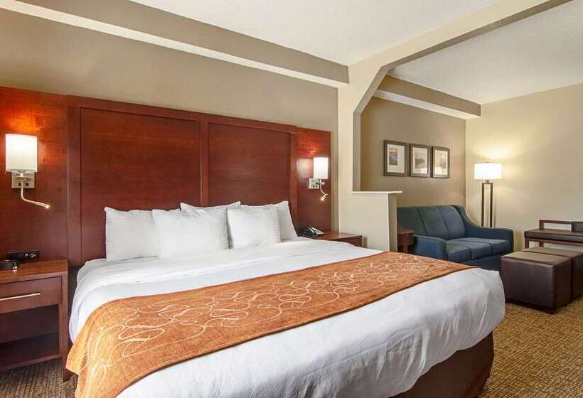 酒店 Comfort Suites Knoxville Airport