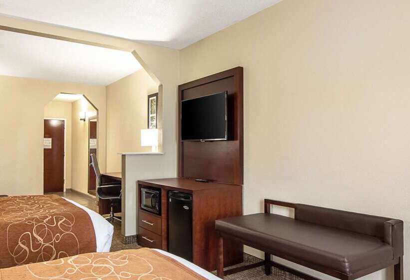 酒店 Comfort Suites Knoxville Airport