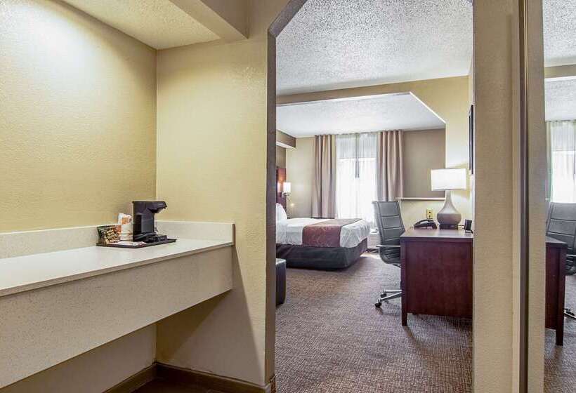 酒店 Comfort Suites Knoxville Airport