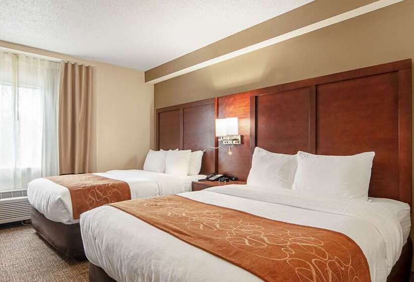 酒店 Comfort Suites Knoxville Airport