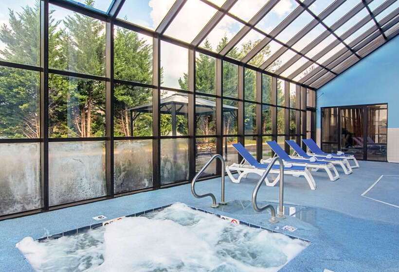 酒店 Comfort Suites Knoxville Airport