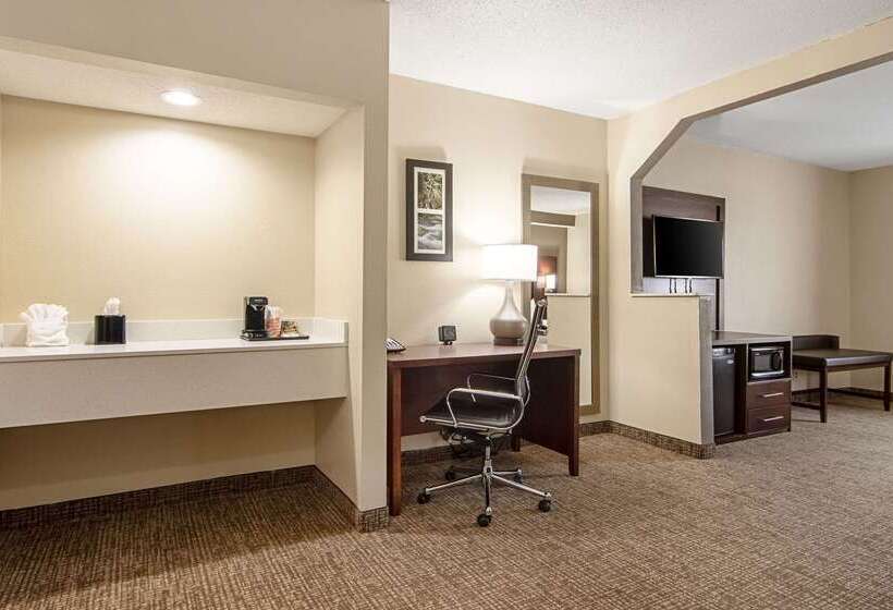 酒店 Comfort Suites Knoxville Airport
