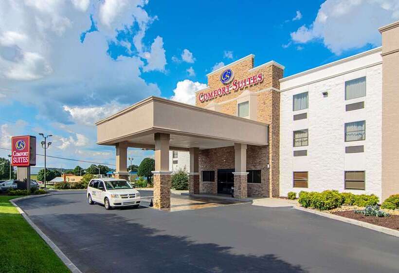 酒店 Comfort Suites Knoxville Airport