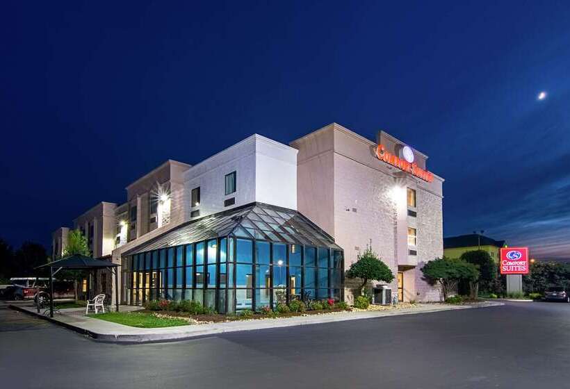 酒店 Comfort Suites Knoxville Airport