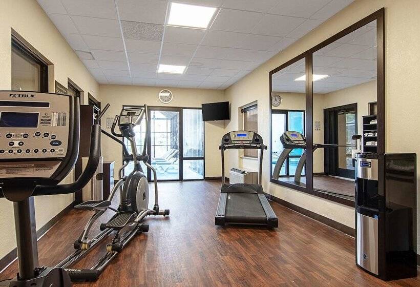 酒店 Comfort Suites Knoxville Airport