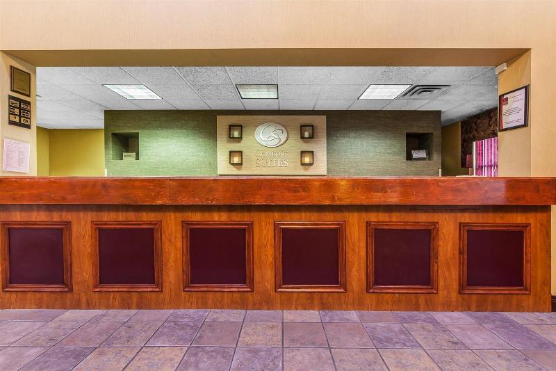 酒店 Comfort Suites Knoxville Airport