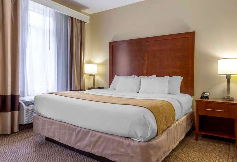 فندق Comfort Suites Boone  University Area