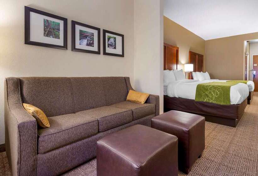 فندق Comfort Suites Boone  University Area