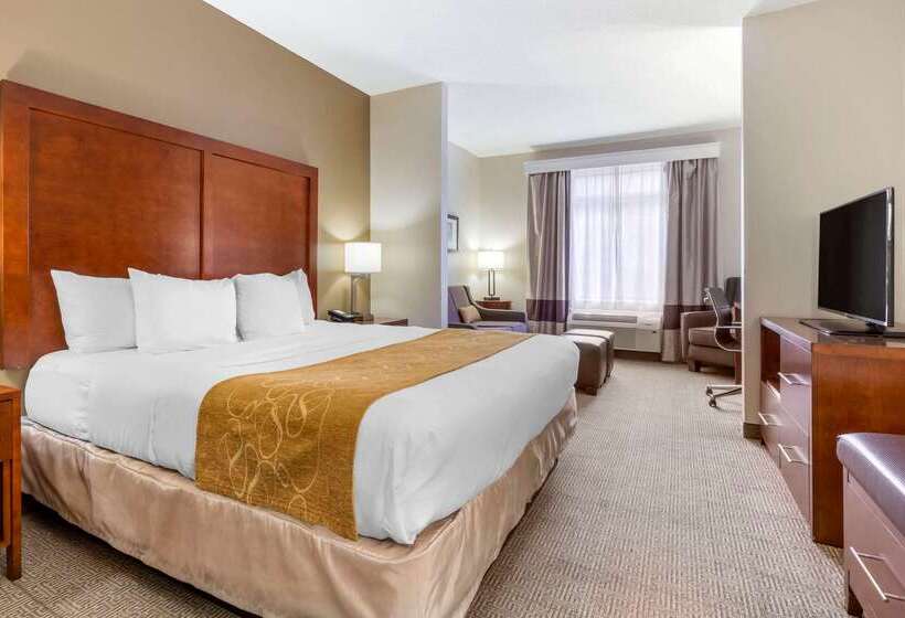 فندق Comfort Suites Boone  University Area