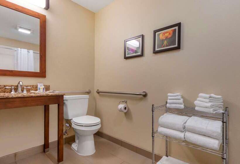 فندق Comfort Suites Boone  University Area