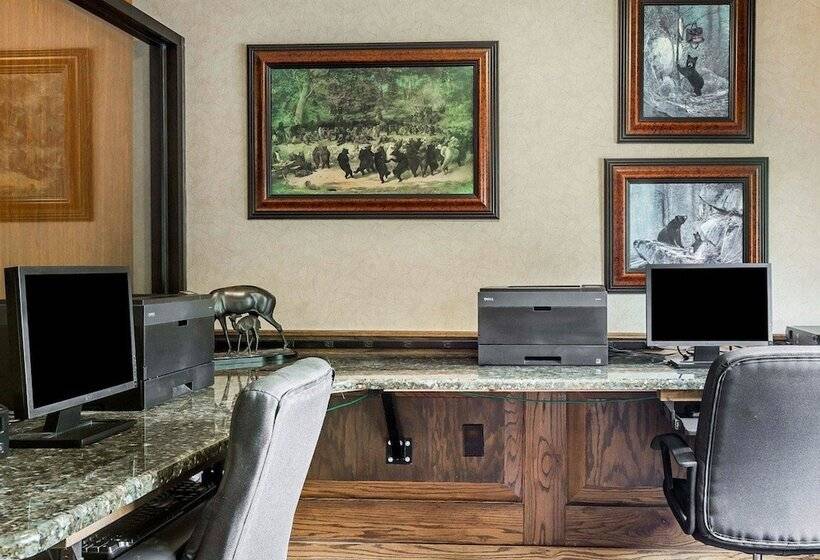 فندق Comfort Suites Boone  University Area