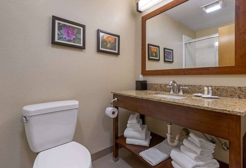 فندق Comfort Suites Boone  University Area