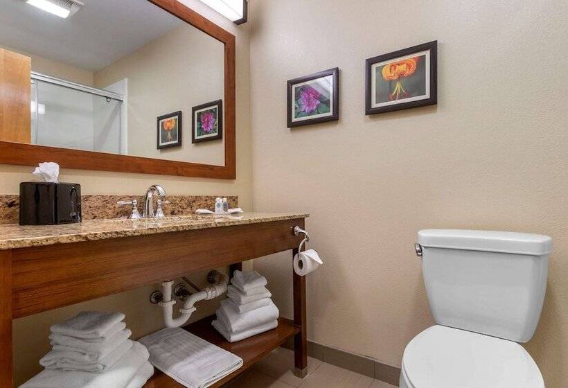 فندق Comfort Suites Boone  University Area
