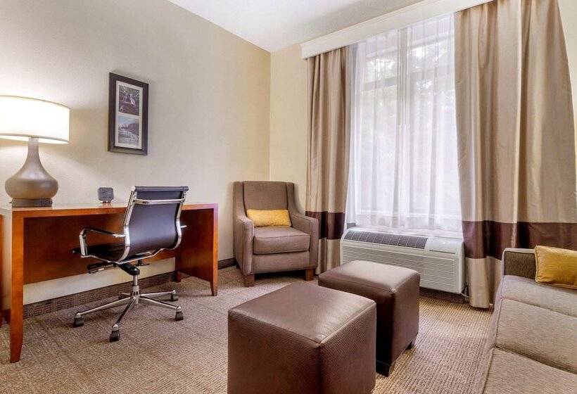 فندق Comfort Suites Boone  University Area