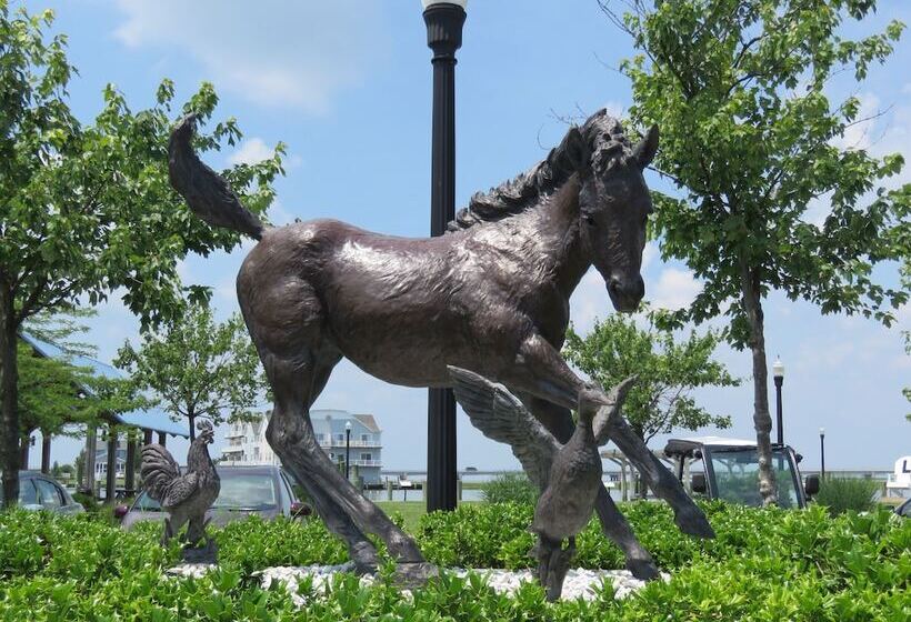 فندق Comfort Suites Chincoteague Island Bayfront Resort