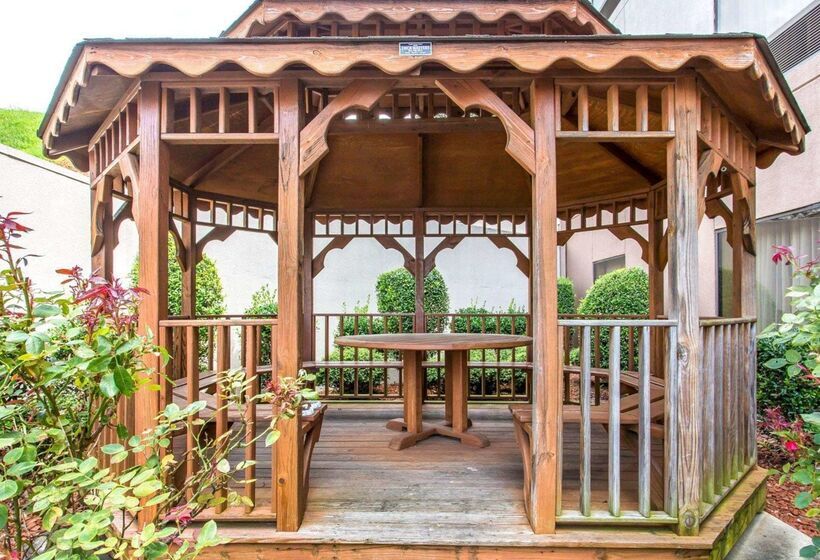 בית מלון כפרי Comfort Suites Cookeville