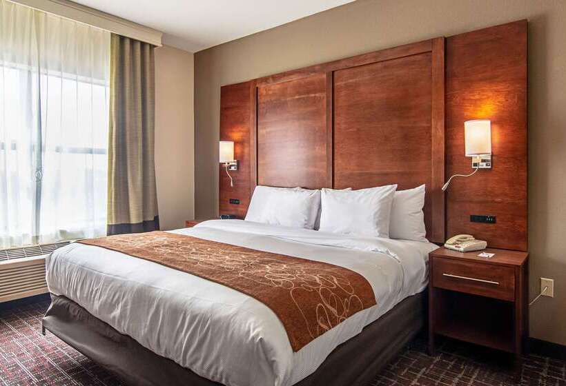בית מלון כפרי Comfort Suites Nw Dallas Near Love Field
