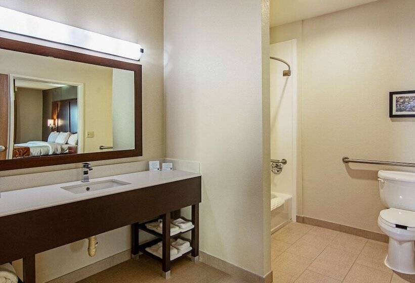 בית מלון כפרי Comfort Suites Nw Dallas Near Love Field