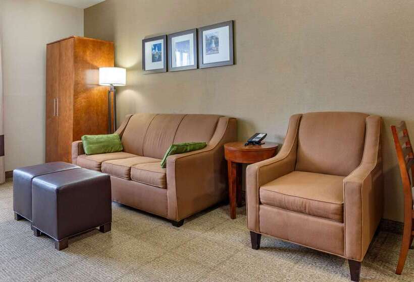 فندق Comfort Suites Dover