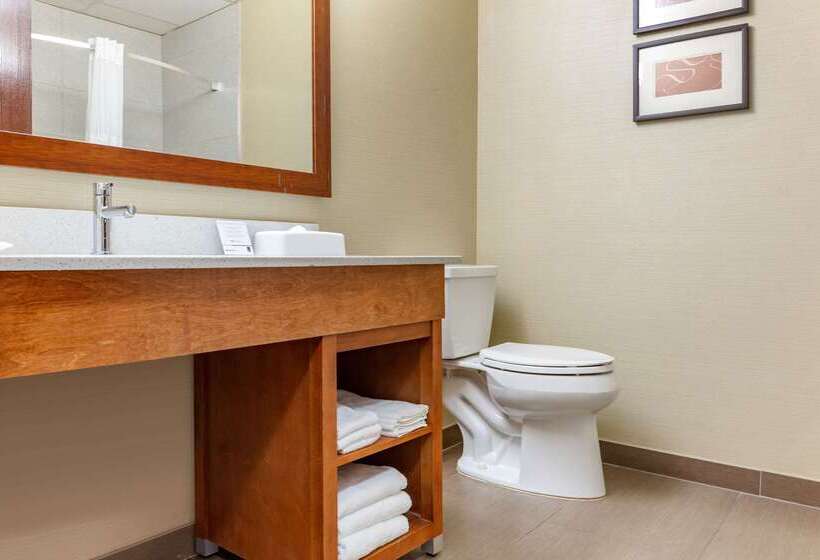 فندق Comfort Suites Dover