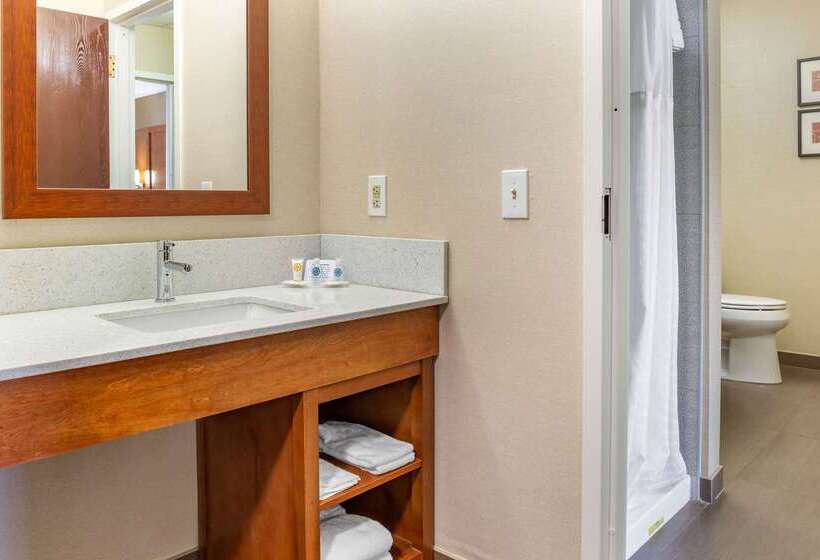 فندق Comfort Suites Dover