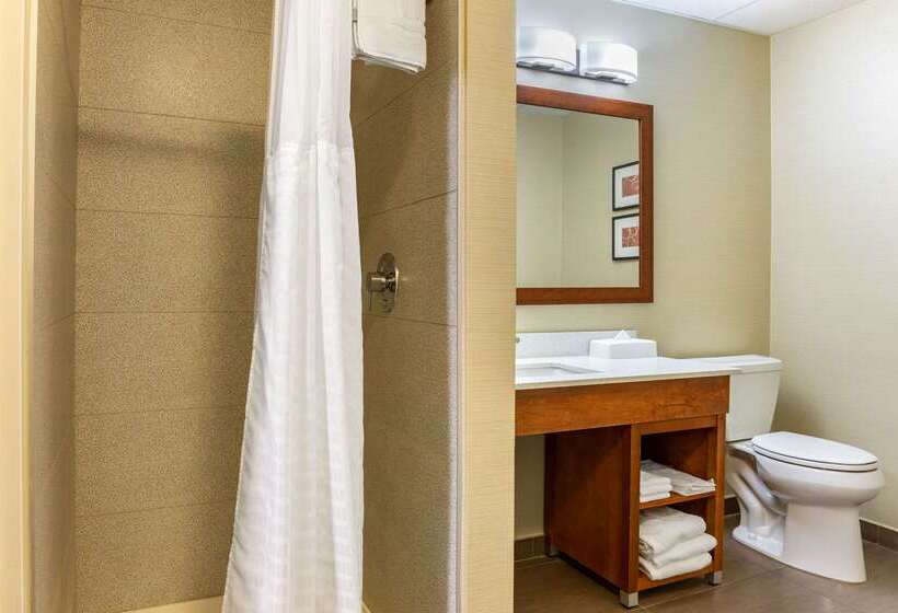 فندق Comfort Suites Dover