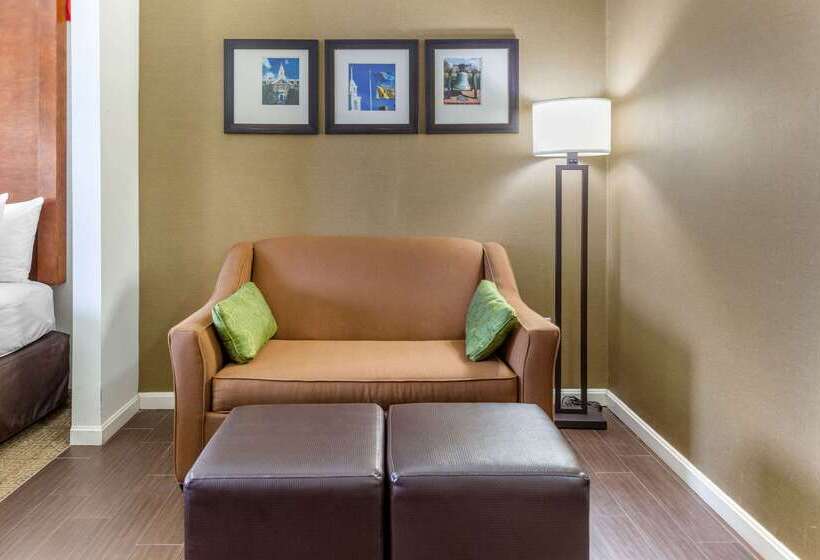 فندق Comfort Suites Dover