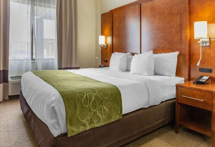 فندق Comfort Suites Dover