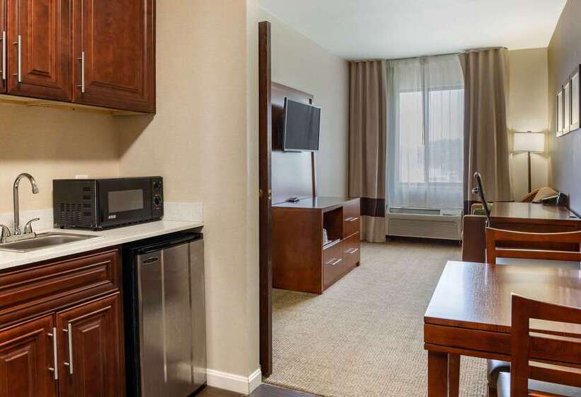 فندق Comfort Suites Dover