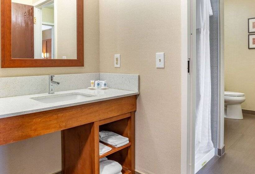 فندق Comfort Suites Dover