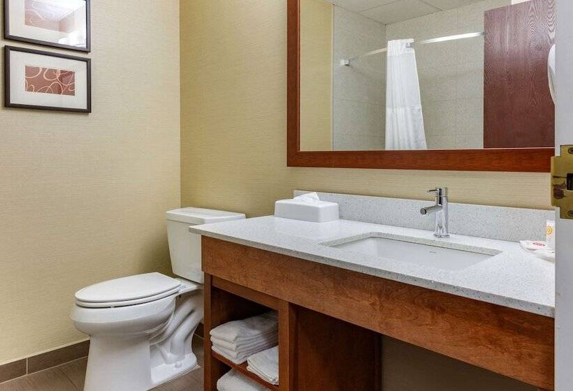 هتل Comfort Suites Dover