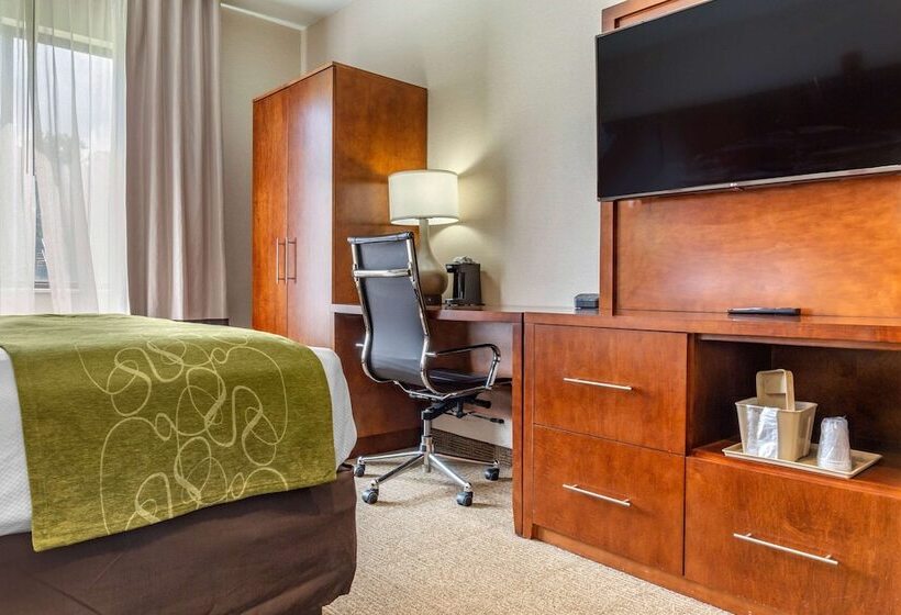 هتل Comfort Suites Dover