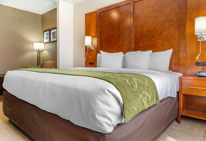 فندق Comfort Suites Dover