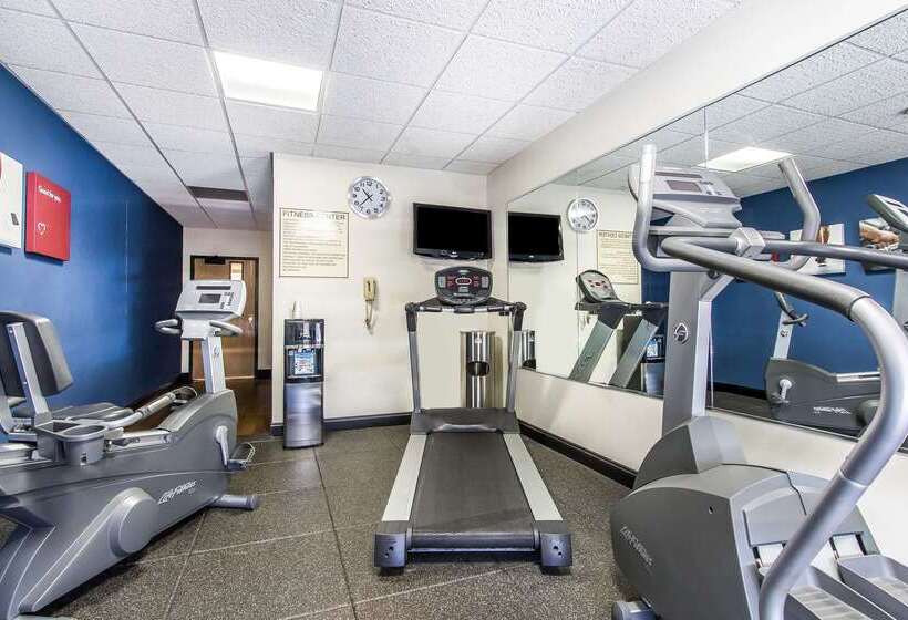 فندق Comfort Suites Effingham